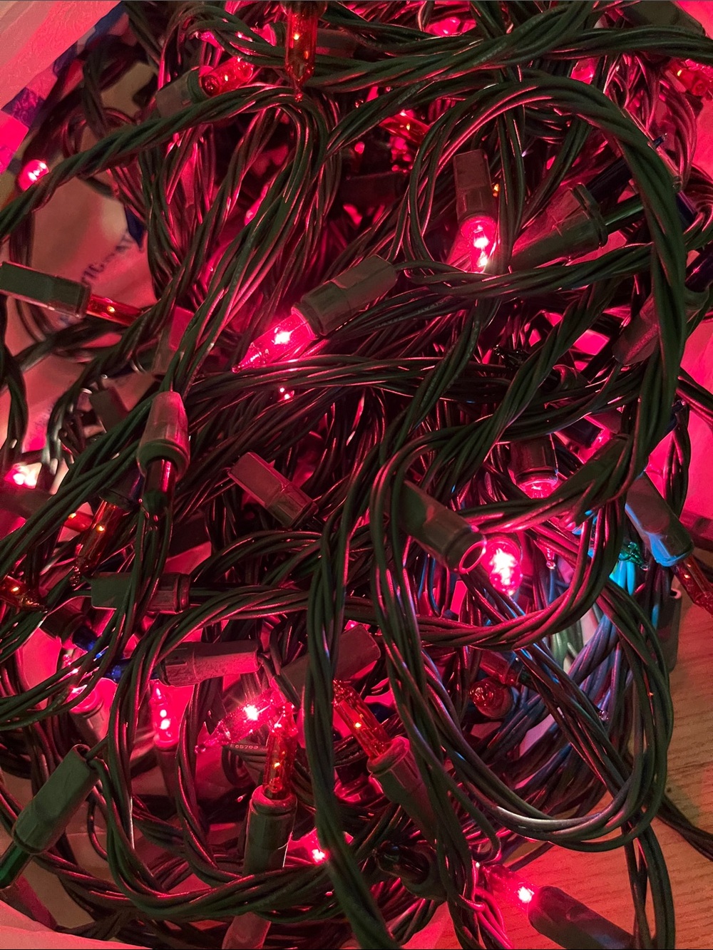 Red Fushia YellowLED String Lights with Green Cord